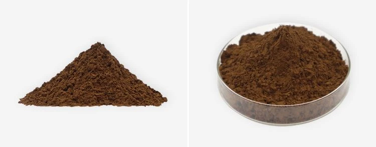 Reishi Extract Powder 2