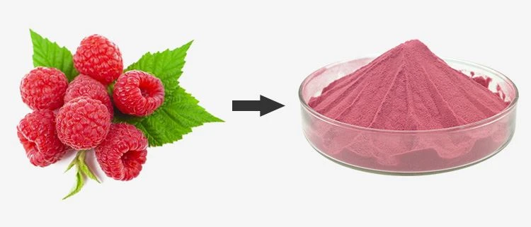 Raspberry Juice Powder 1