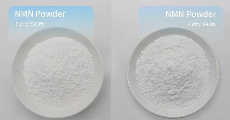 pure nmn powder