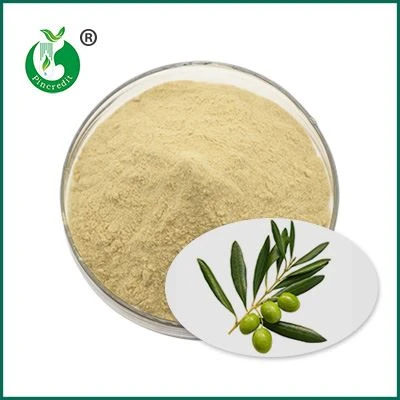 Oleuropein Powder