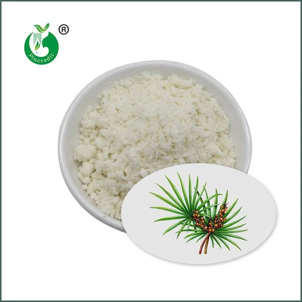 اره پودر عصاره Palmetto