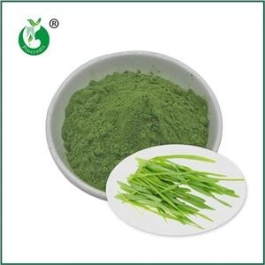 پودر آب چمن جو