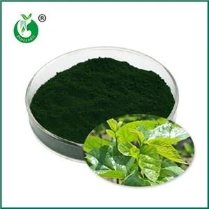 کلروفیلین مس سدیم چیست؟ برای چه استفاده می شود؟