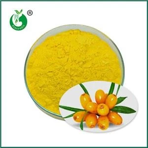 خواص، کاربردها و فرآیند تولید پودر آبمیوه خولان دریایی