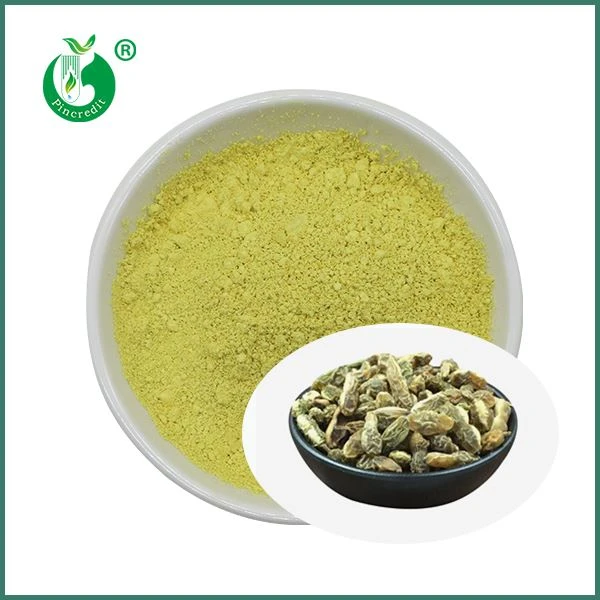 پودر Kaempferol عمده فروشی