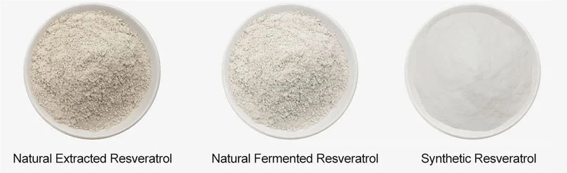 Resveratrol Powder Resveratrol Powder