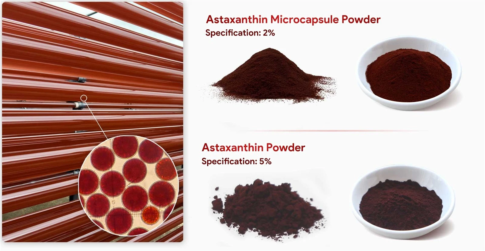 Astanxantine microcapsule