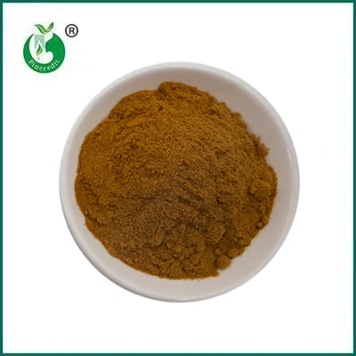 Pincredit   داغ   فروش   الی   قارچ   عصاره   پودر