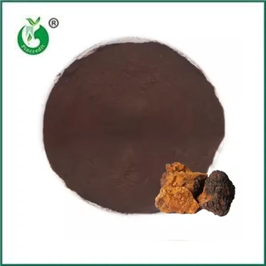 فواید و موارد استفاده از پودر عصاره چاگا