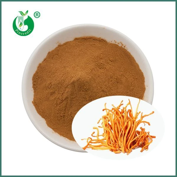 پودر عصاره Cordyceps Militaris