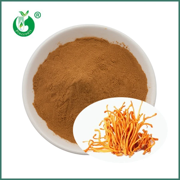 عصاره ارگانیک قارچ Cordyceps Militaris
